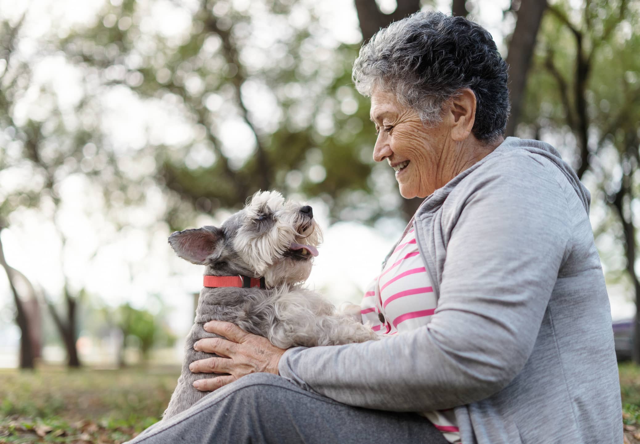 Active senior woman smiles and affectionately embraces her pet schnauzer dog