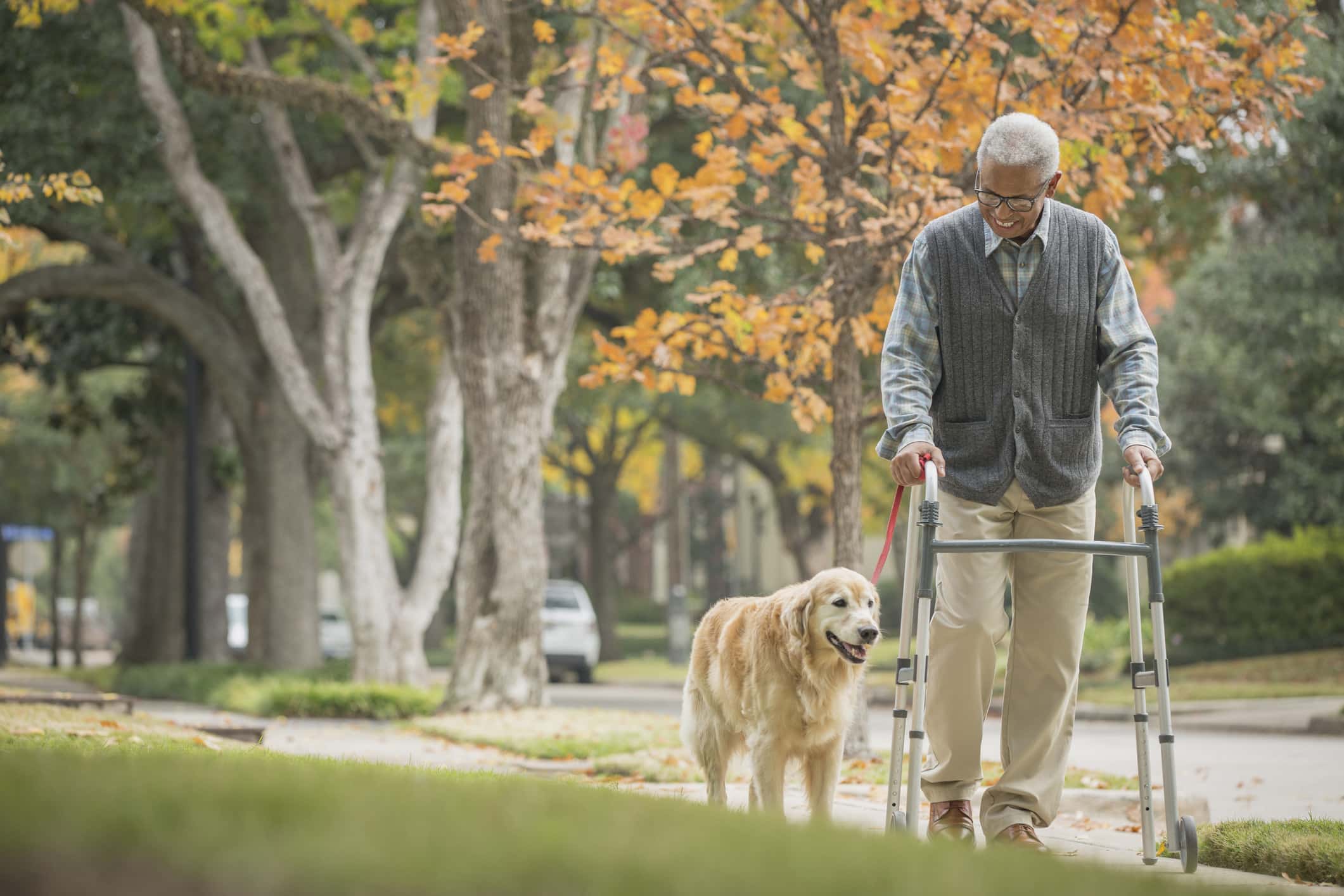 African American man using walker with dog