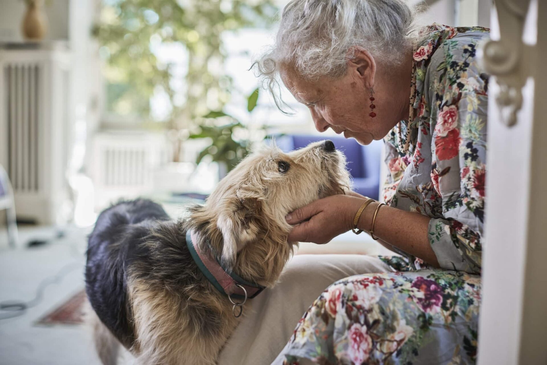 Senior woman sitting on stairs at home caressing dog